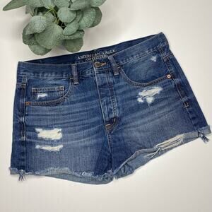 American Eagle | Distressed Button Fly Denim Jean Shorts